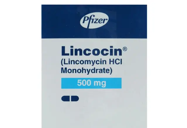 Lincocin