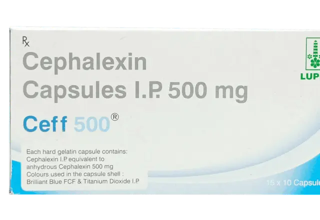 cephalexin